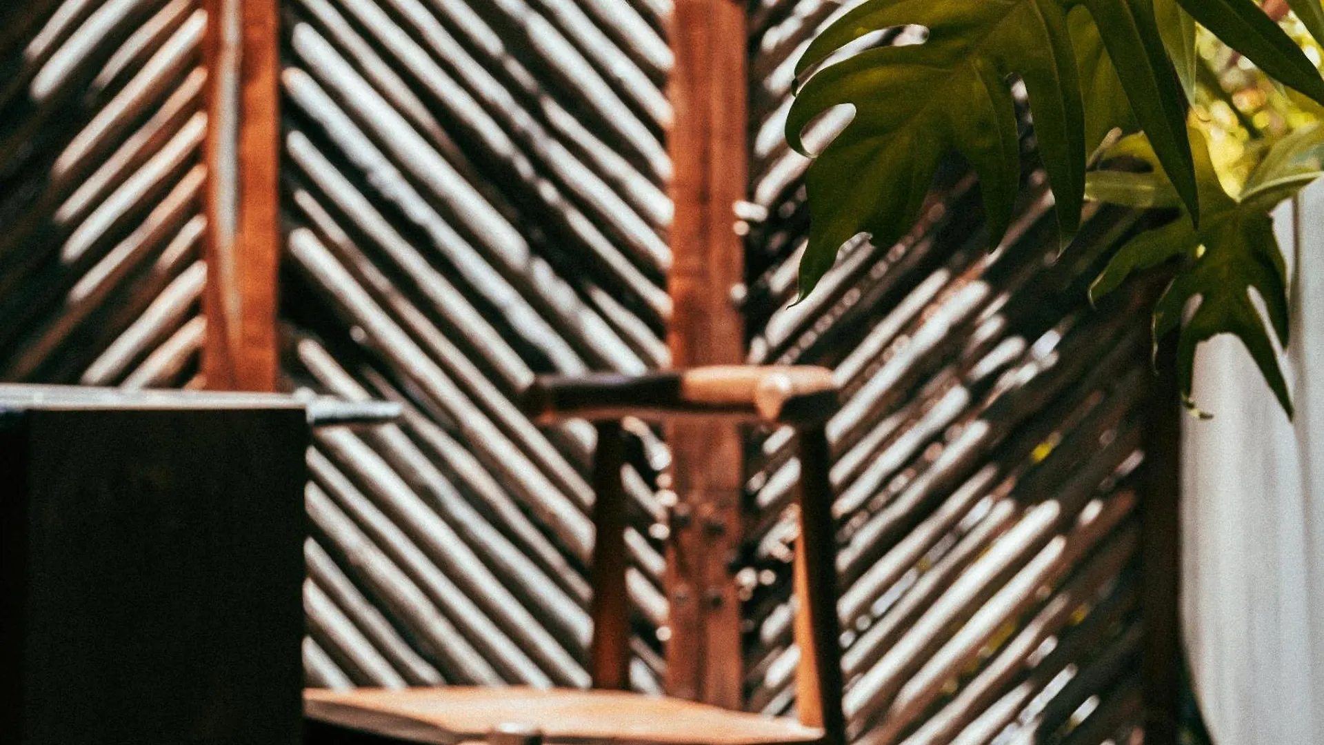 Exclusive Penthouse Aldea Zama Tulum Apartment